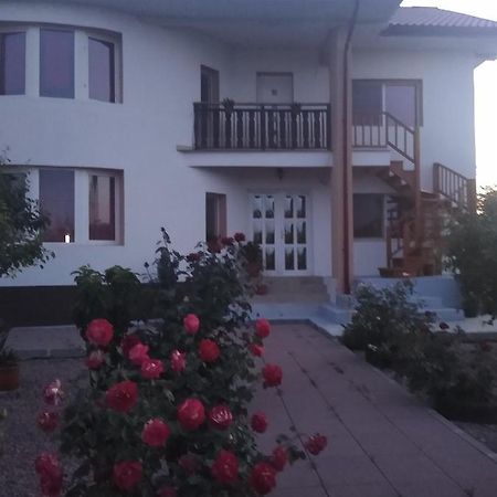 Casa Doina Hotell Douăzeci şi Trei August Eksteriør bilde