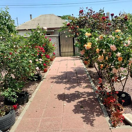 Casa Doina Hotell Douăzeci şi Trei August Eksteriør bilde