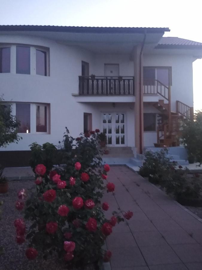 Casa Doina Hotell Douăzeci şi Trei August Eksteriør bilde