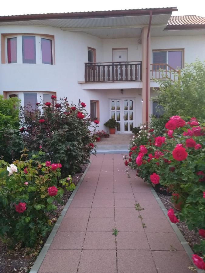 Casa Doina Hotell Douăzeci şi Trei August Eksteriør bilde