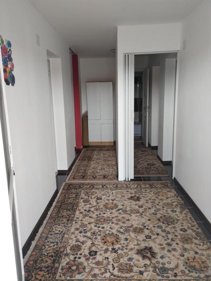 Casa Doina Hotell Douăzeci şi Trei August Eksteriør bilde