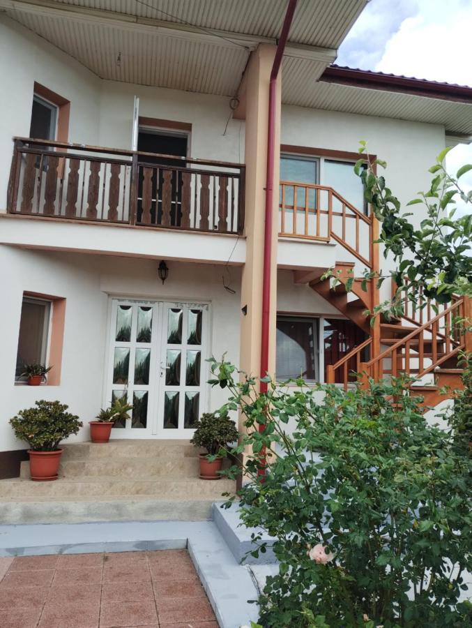 Casa Doina Hotell Douăzeci şi Trei August Eksteriør bilde