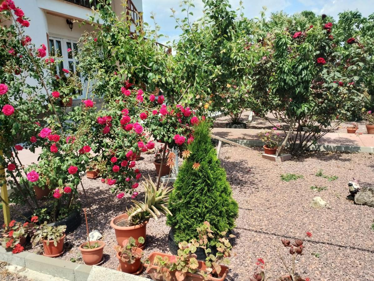 Casa Doina Hotell Douăzeci şi Trei August Eksteriør bilde