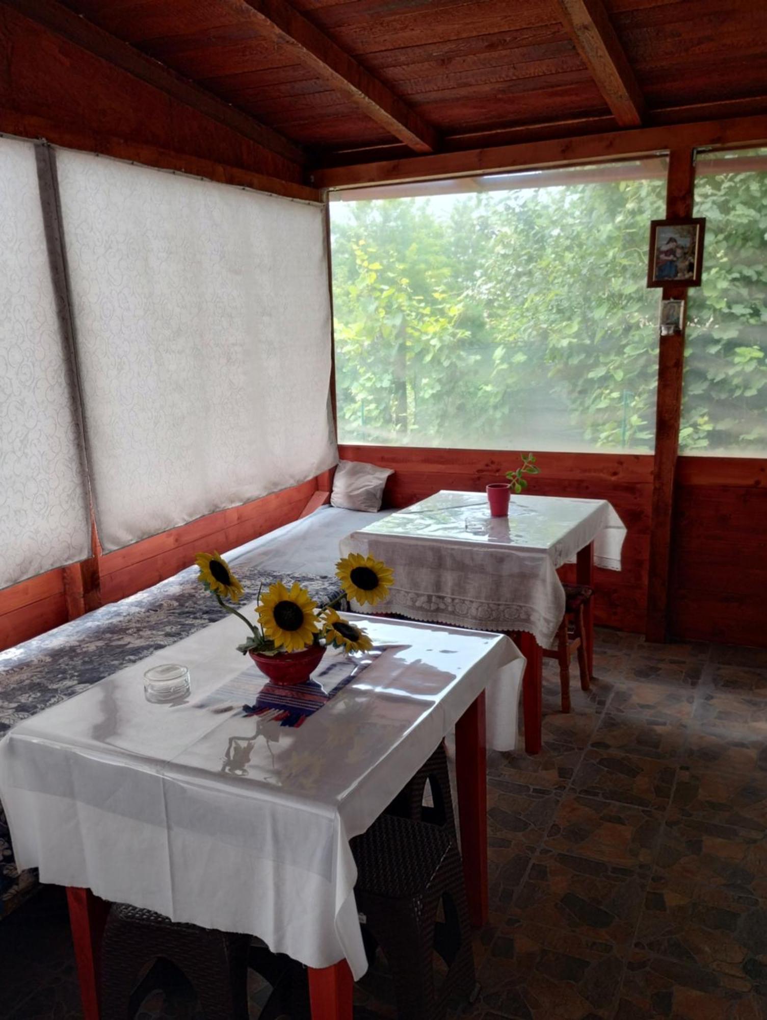 Casa Doina Hotell Douăzeci şi Trei August Eksteriør bilde