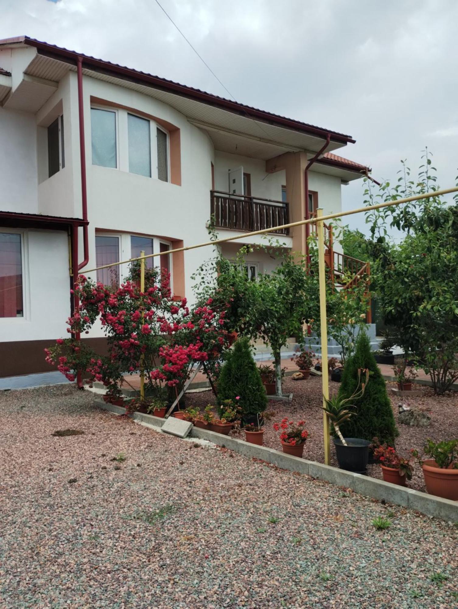 Casa Doina Hotell Douăzeci şi Trei August Eksteriør bilde