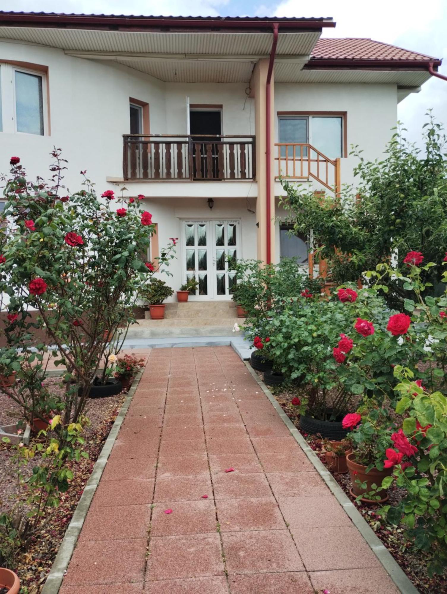 Casa Doina Hotell Douăzeci şi Trei August Eksteriør bilde